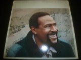 MARVIN GAYE/DREAM OF A LIFETIME