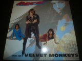 VELVET MONKEYS/RAKE