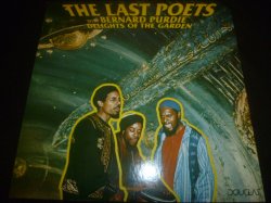 画像1: LAST POETS WITH BERNARD PURDIE/DELIGHTS OF THE GARDEN