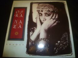 画像1: OFRA HAZA/SHADAY