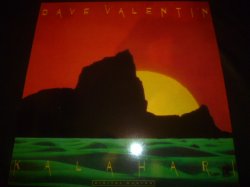 画像1: DAVE VALENTIN/KALAHARI