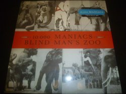 画像1: 10,000 MANIACS/BLIND MAN'S ZOO