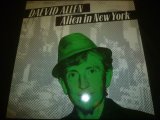 DAEVID ALLEN/ALIEN IN NEW YORK