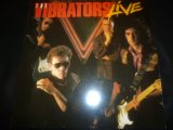 VIBRATORS/LIVE