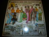 JIMMY G. & THE TACKHEADS/FEDERATION OF TACKHEADS