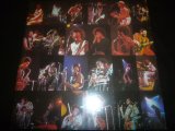 WAR/WAR LIVE