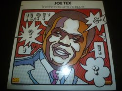 画像1: JOE TEX/FROM THE ROOTS CAME THE RAPPER