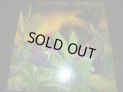 画像1: LONNIE LISTON SMITH/LOVELAND