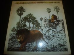 画像1: DAVID FATHEAD NEWMAN/CONCRETE JUNGLE
