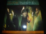 CHINA CRISIS/DIARY OF A HOLLOW HORSE