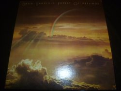 画像1: DAVID SANCIOUS/FOREST OF FEELINGS