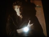 DON HENLEY/BUILDING THE PERFECT BEAST