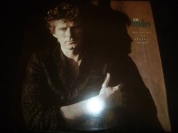 画像1: DON HENLEY/BUILDING THE PERFECT BEAST