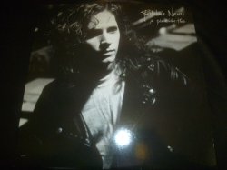 画像1: ROBBIE NEVIL/A PLACE LIKE THIS