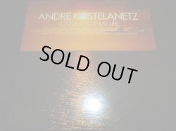 画像1: ANDRE KOSTELANETZ/YOU LIGHT UP MY LIFE
