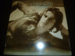 画像1: ANDY GIBB/FLOWING RIVERS