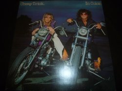 画像1: CHEAP TRICK/IN COLOR