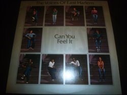 画像1: VOICES OF EAST HARLEM/CAN YOU FEEL IT