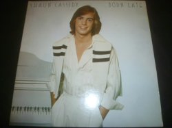 画像1: SHAUN CASSIDY/BORN LATE
