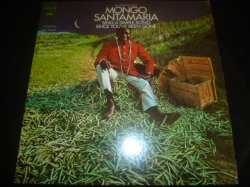 画像1: MONGO SANTAMARIA/ALL STRUNG OUT