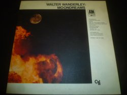 画像1: WALTER WANDERLEY/MOONDREAMS