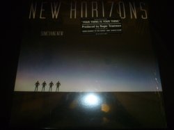 画像1: NEW HORIZONS/SOMETHING NEW