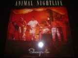 ANIMAL NIGHTLIFE/SHANGLI-RA