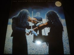 画像1: REGGAE PHILHARMONIC ORCHESTRA/SAME