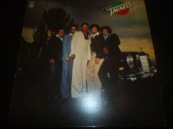 画像1: TAVARES/LOVE STORM