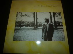 画像1: DAVID SYLVIAN/BRILLIANT TREES