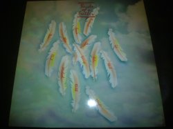 画像1: BIRDS OF A FEATHER/SAME