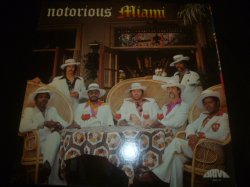 画像1: NOTORIOUS MIAMI/SAME