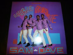 画像1: SAM&DAVE/DOUBLE DYNAMITE