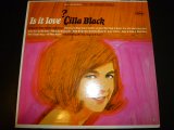 CILLA BLACK/IS IT LOVE?