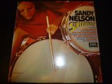 SANDY NELSON/SUPERDRUMS!