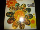 JIM KWESKIN JUG BAND/GARDEN OF JOY