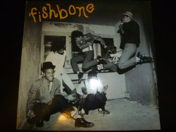 画像1: FISHBONE/SAME