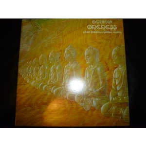 画像: DEVADIP CARLOS SANTANA/ONENESS