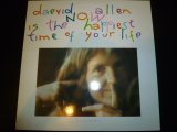 画像: DAEVID ALLEN/NOW IS THE HAPPIEST TIME OF YOUR LIFE