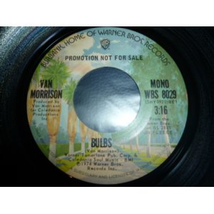 画像: VAN MORRISON/BULBS