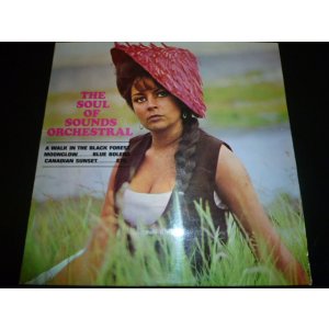 画像: SOUNDS ORCHESTRAL/THE SOUL OF SOUNDS ORCHESTRAL
