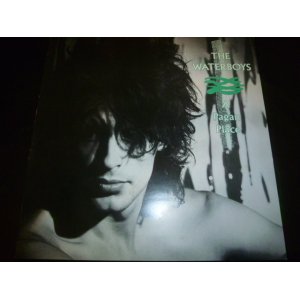 画像: WATERBOYS/A PAGAN PLACE