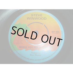 画像: STEVE WINWOOD/WHILE YOU SEE A CHANCE