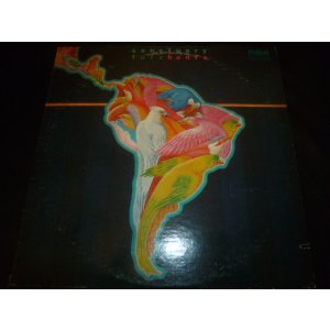 画像: LUIZ BONFA/SANCTUARY