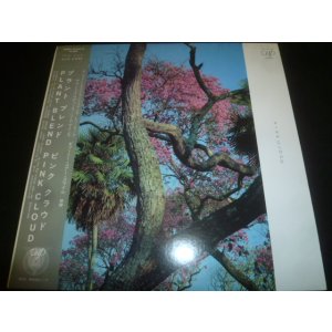 画像: PINK CLOUD/PLANT BLEND