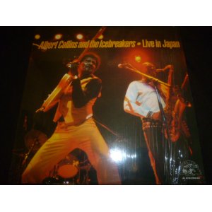 画像: ALBERT COLLINS & THE ICEBREAKERS/LIVE IN JAPAN