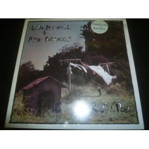 画像: EDIE BRICKELL & NEW BOHEMIANS/GHOST OF A DOG