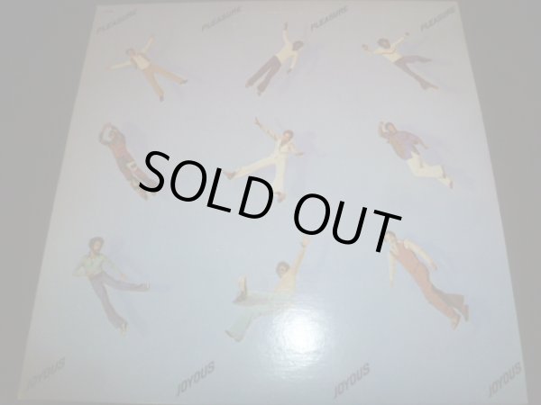 画像1: PLEASURE/JOYOUS