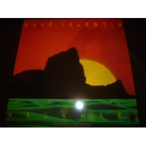 画像: DAVE VALENTIN/KALAHARI