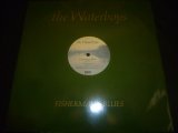 画像: WATERBOYS/FISHERMAN'S BLUES (12")